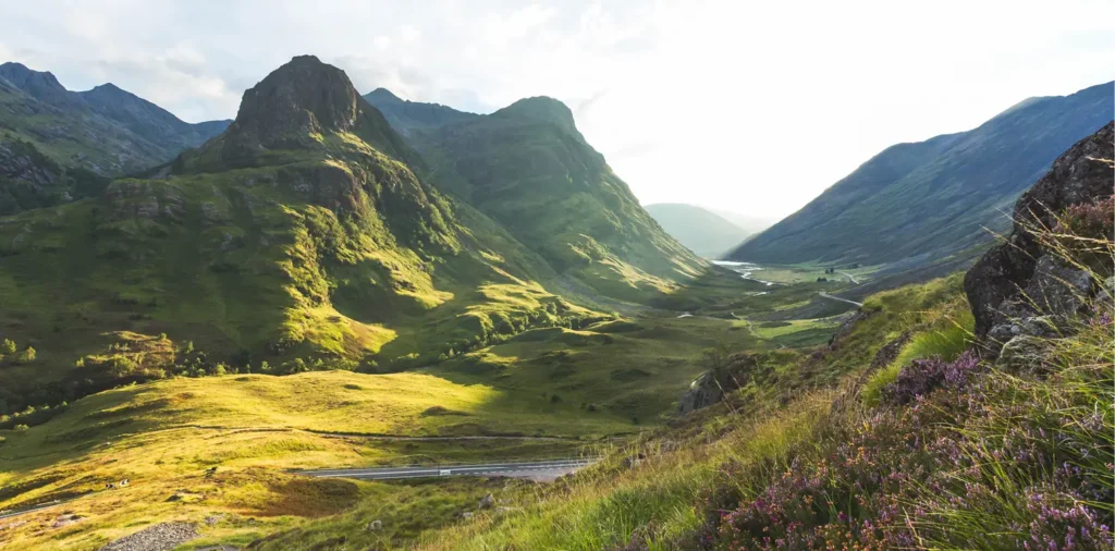 2553_homepage_mosaic_3_364x180